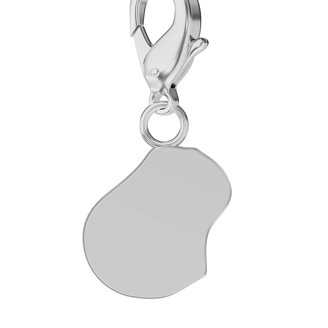 Flag & Map Charms Set - Image 6