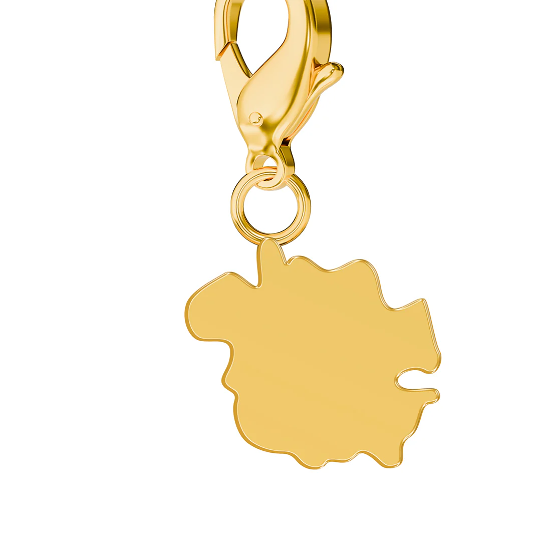 Flag & Map Charms Set - Image 83