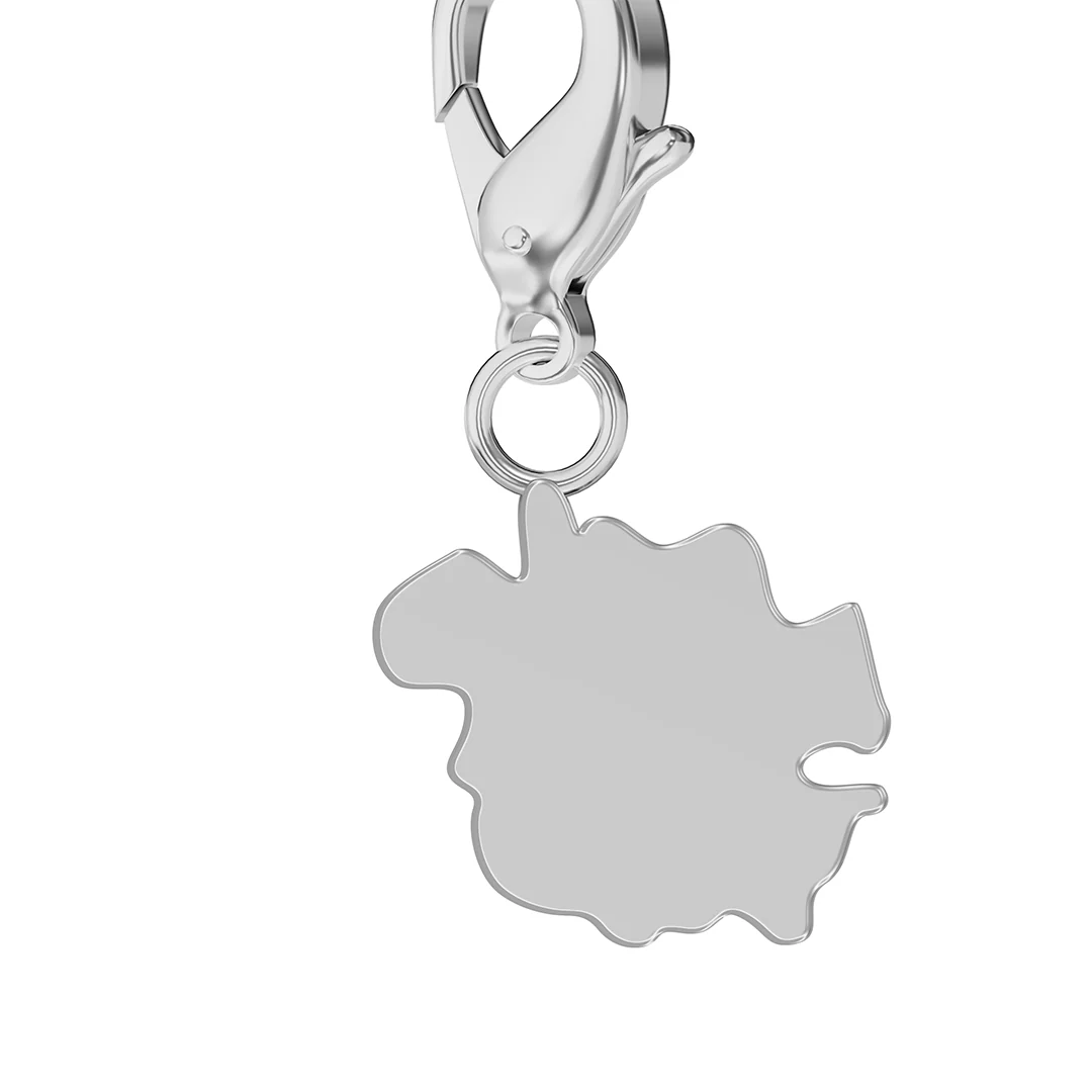 Flag & Map Charms Set - Image 84