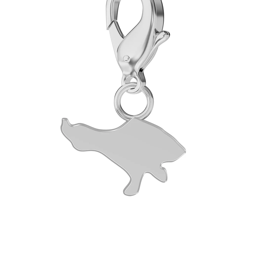 Flag & Map Charms Set (Preorder)