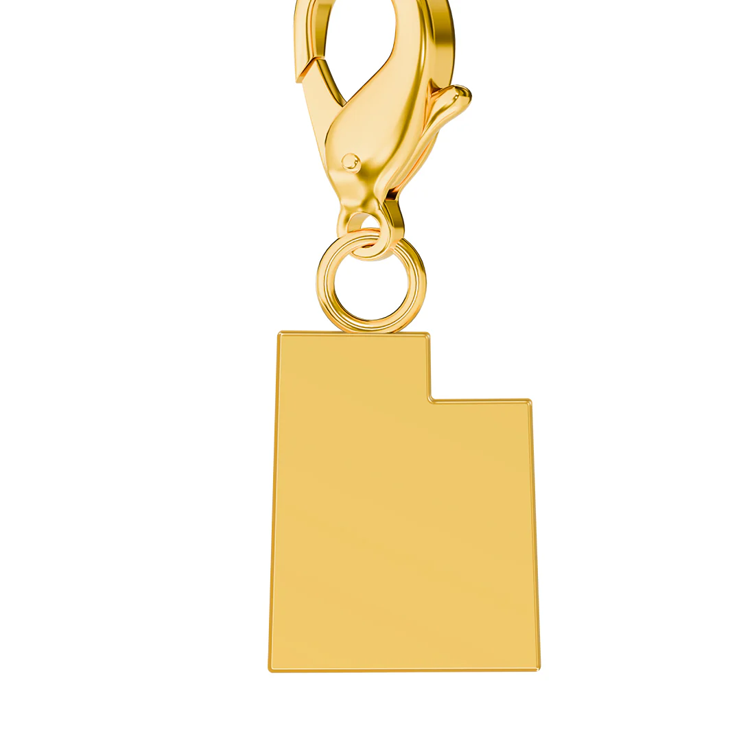 USA State Flag & Map Charms Set - Image 103