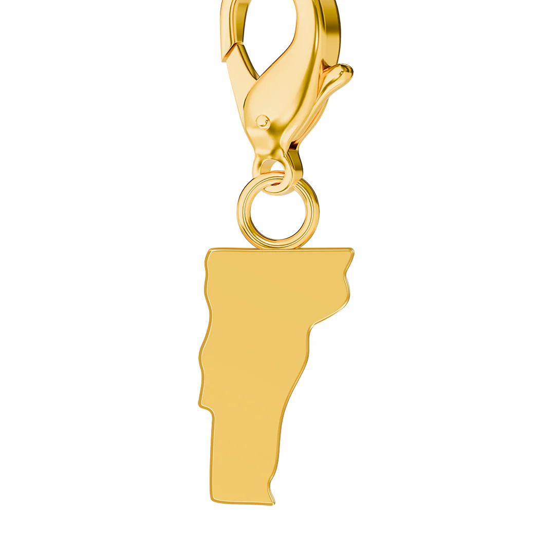 USA State Flag & Map Charms Set - Image 105