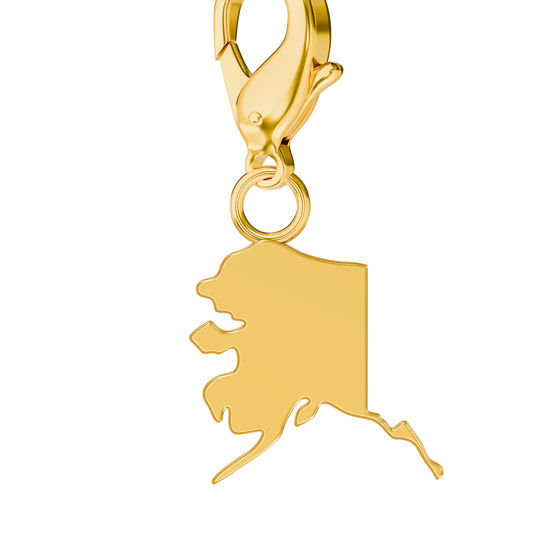 USA State Flag & Map Charms Set - Image 16