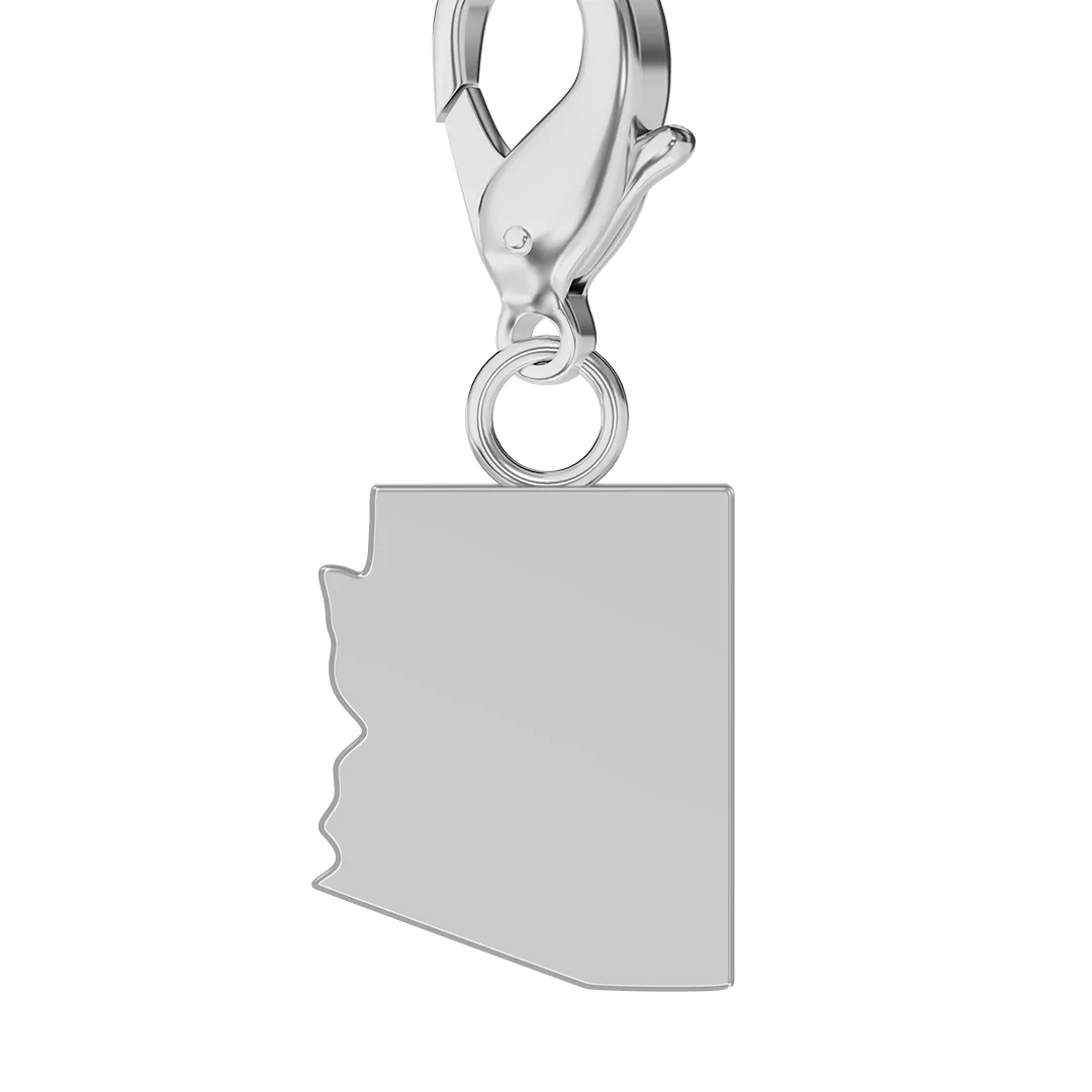 USA State Flag & Map Charms Set - Image 19
