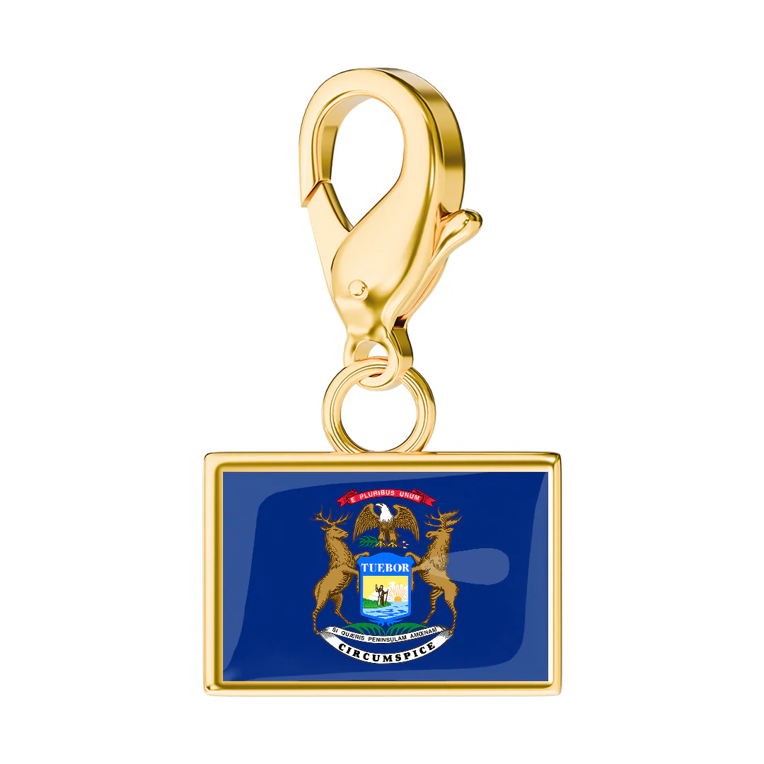 USA State Flag & Map Charms Set - Image 72