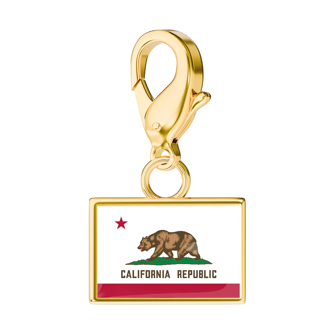 USA State Flag & Map Charms Set - Image 82