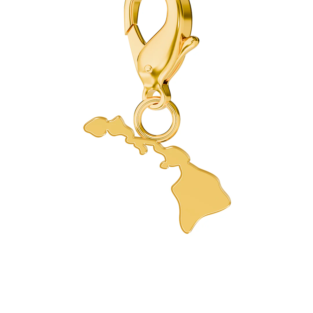 USA State Flag & Map Charms Set - Image 34