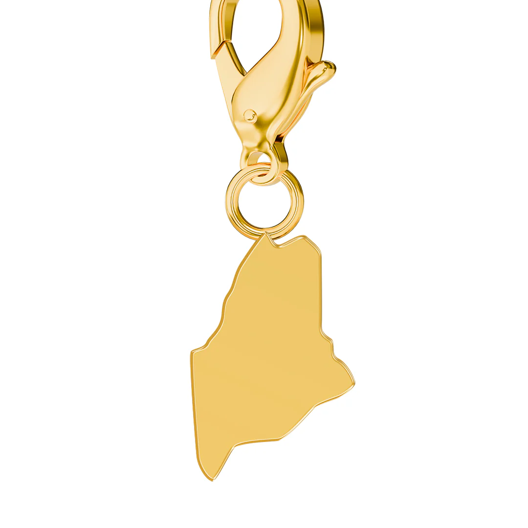 USA State Flag & Map Charms Set - Image 51