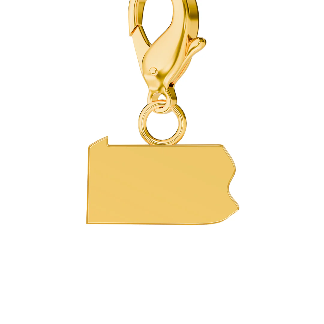 USA State Flag & Map Charms Set - Image 89