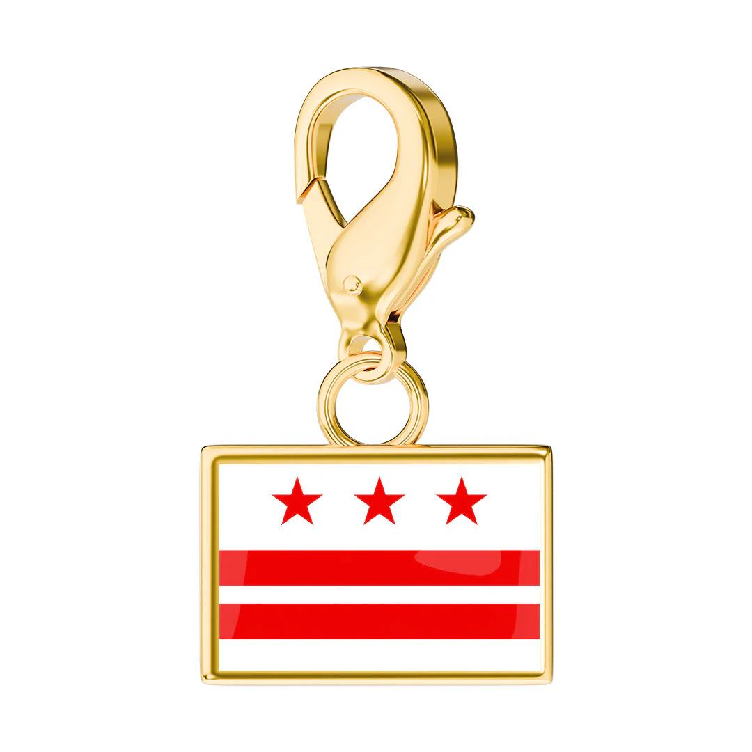 USA State Flag & Map Charms Set - Image 49