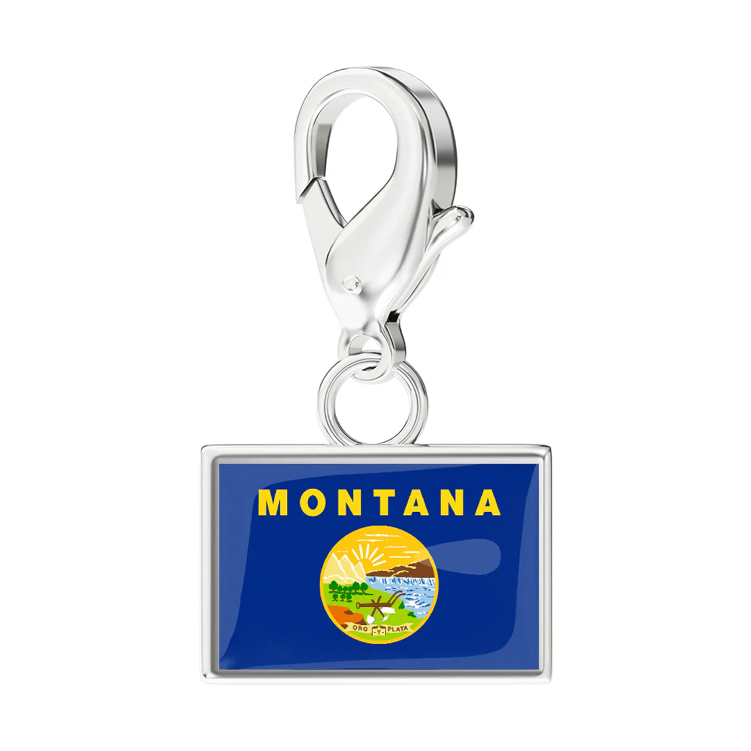 USA State Flag & Map Charms Set - Image 28