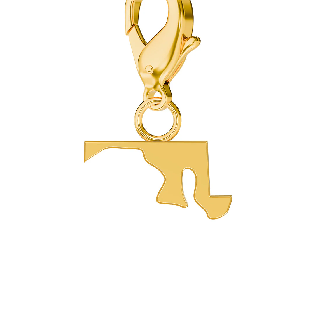 USA State Flag & Map Charms Set - Image 20