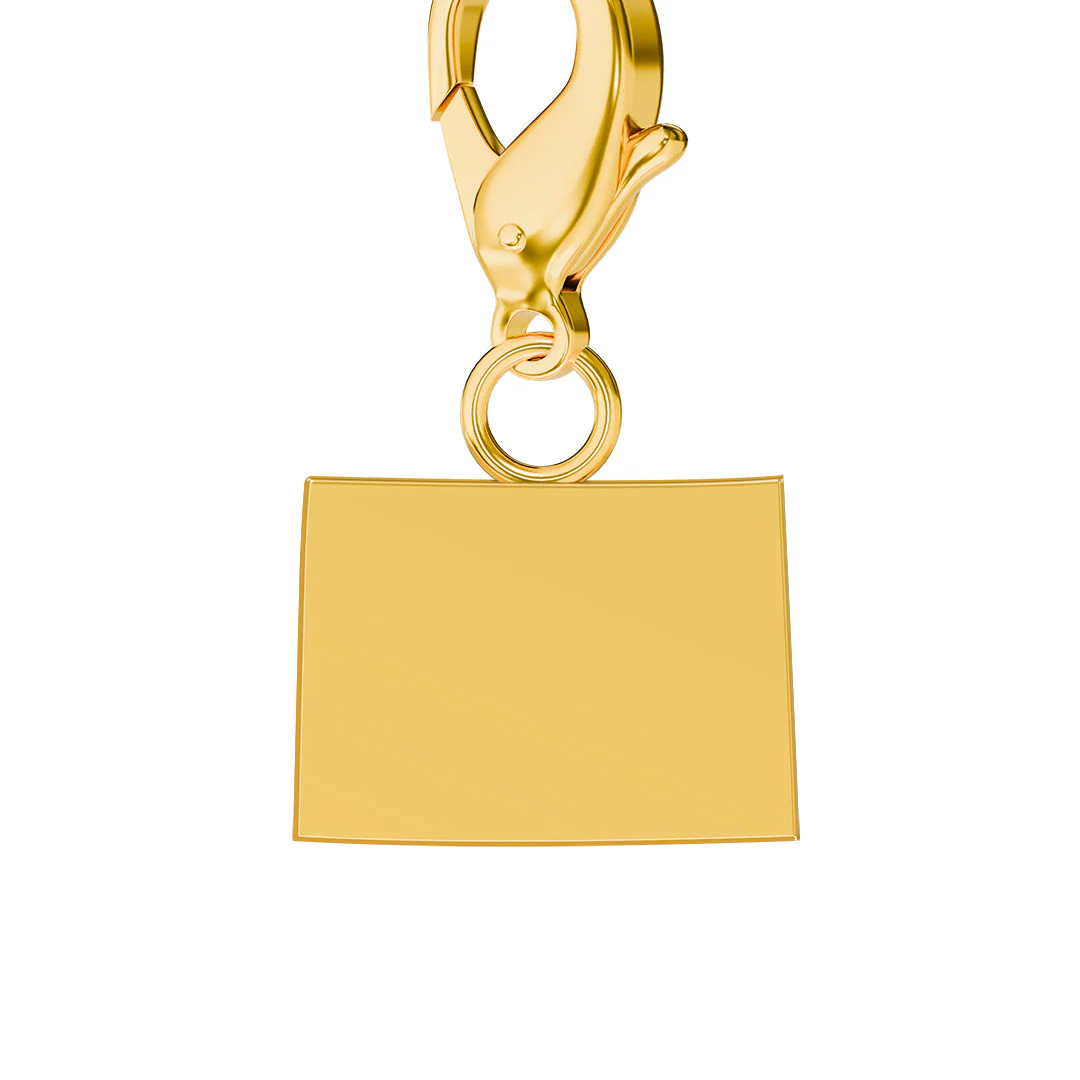 USA State Flag & Map Charms Set - Image 6