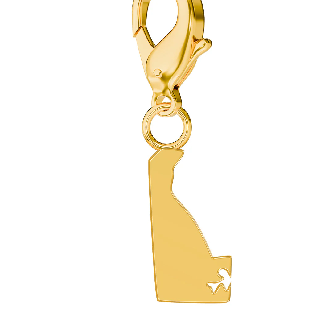 USA State Flag & Map Charms Set - Image 8