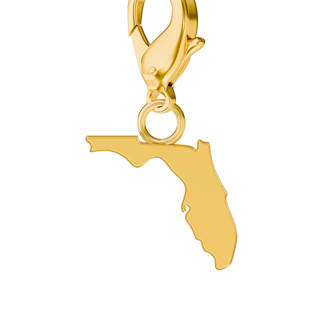 USA State Flag & Map Charms Set - Image 9