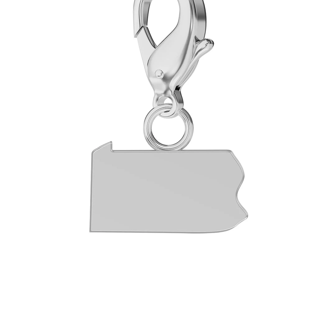 USA State Flag & Map Charms Set - Image 38