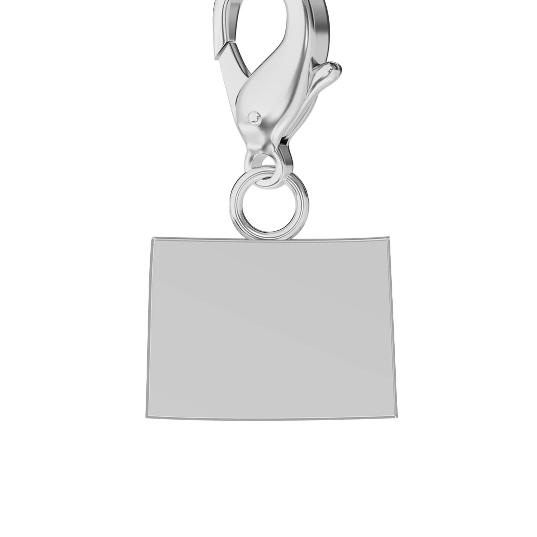 USA State Flag & Map Charms Set - Image 6